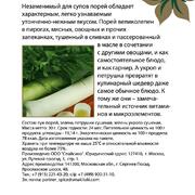 Зеленый лук, укроп, петрушка